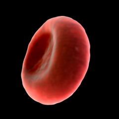 Erythrocytic (Original Mix)