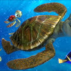 Nemo (سلاحف البحر (