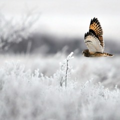 London Grammar vs. Arty - Hey Now (Mic09 Intro Edit)