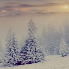 Snow Interlude