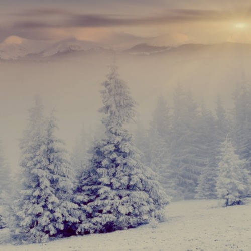 Snow Interlude