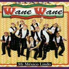 Banda Wane Wane~El Caderazo