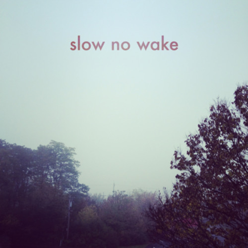 Slow No Wake - Everyone Needs Someone