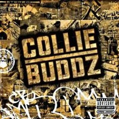 Collie Buddz - Burn Down The System