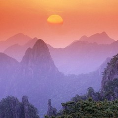 Can't Return (tagged)