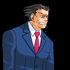WTFeenix (Phoenix Wright remix)