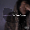 Wu Tang Forever Drake Cover Mp3