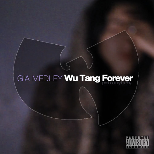 Wu Tang Forever Drake Lyrics