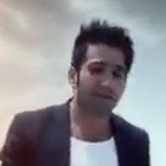 Amir Murad / Hest
