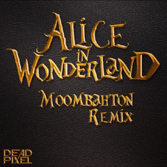 Wonderland (Official moombahton remix)