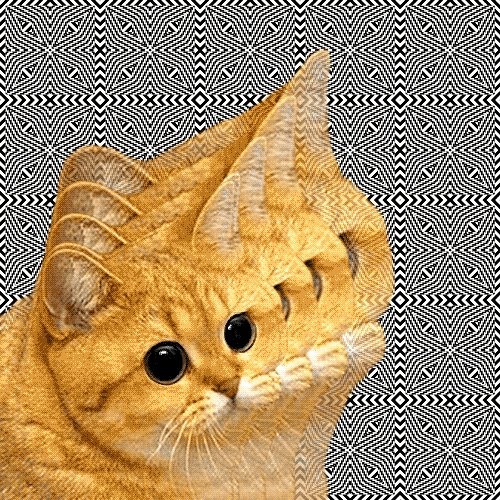 ChAt-loome