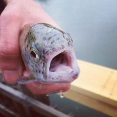 Turn Up Ye Merry Gentlemen