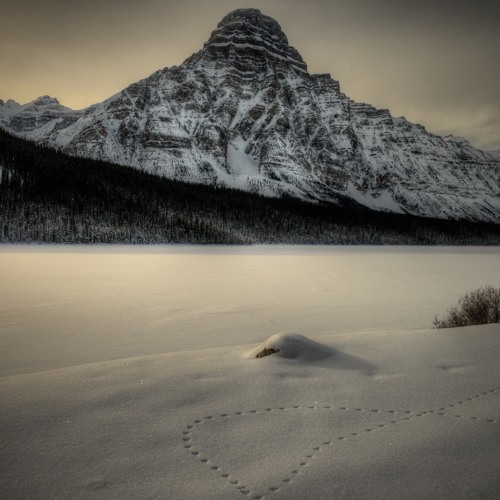 Wolftek - Snowtrails [Free]