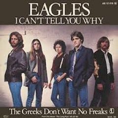 Eagles - I Can't Tell You Why (Rough Lead Cover)