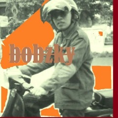 The More You Ignore Bobzky