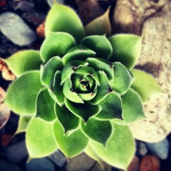 Bill at Dustin's Basement