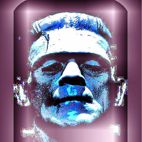 Frankenstein fash - digitalitar