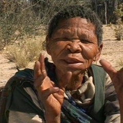 Bushman - Contraceptive explanation in Bushman