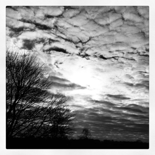 Stream Falling Snow [Agalloch cover] by Larry Turner Music Listen