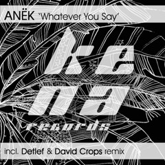 Anek - Whatever You Say (Detlef remix) release date 18.12
