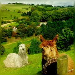 Stepping Stones (Pogflipper remix)