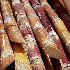 pytchblend - caneCut