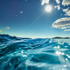 449 - Sea Journey