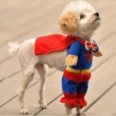 Deep house ( Marcos Formigoni )