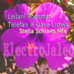Latin Arabic Jazz Fusion - ELECTROJALEO Leilani Roosman/Telefan/Dave Listwa/Stella Schiavo collab