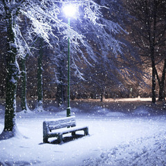 Despite Weather