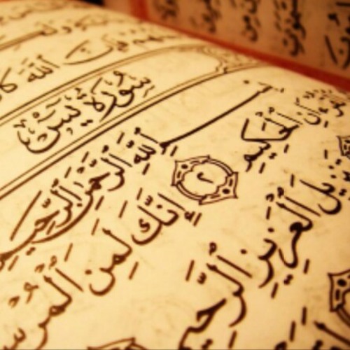 تلاوة من سورة مريم للقارئ مؤيد المزين .. هادئة