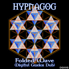 Hypnagog - Folded Wave (Digital Garden Dub)