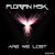 Artwork for Florian MSK - Are We Lost