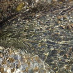 She Haw: Come Back To Me (with with a few overdubs)