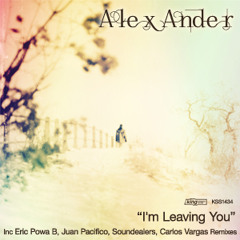 01. I'm Leaving You (Original Mix)