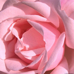 L7n Me Abo Glabeh 18012