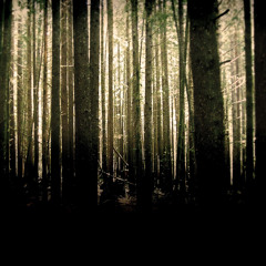 Mark Slee - Kindling: The Woods [December 2013]