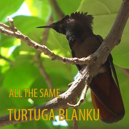 Turtuga Blanku - All The Same
