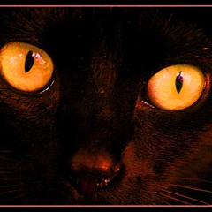 OJOS