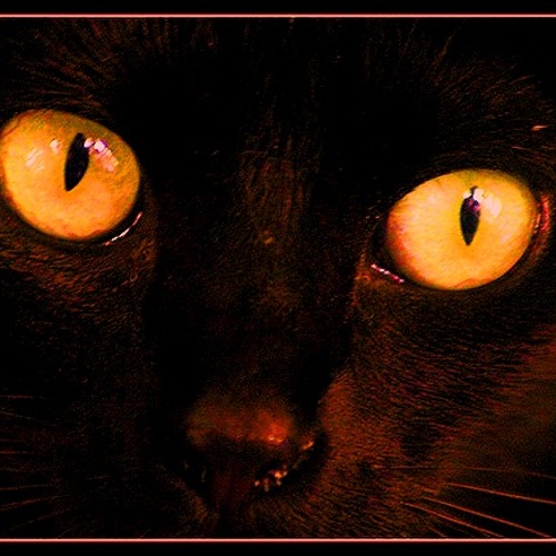 OJOS