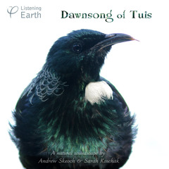'Dawnsong of Tuis' - Album Sample