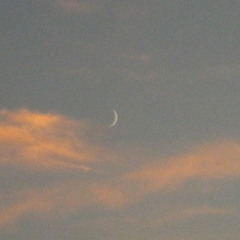 12.12.2013 Ensoniq Esq-1