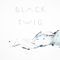 Black Twig: Pastel Blue