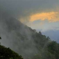 Mystical Mist On Mount Kudajadri