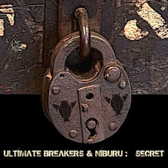 Ultimate Breakers & Niburu - Secret (original mix)