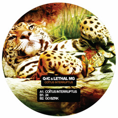 Q - Ic & Lethal MG - 24 (2008)