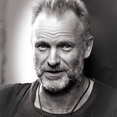 Sting - Fields of gold