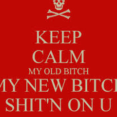 New Bitch