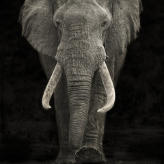 Goldene Zeiten feat Fable Phaeb&B-Base