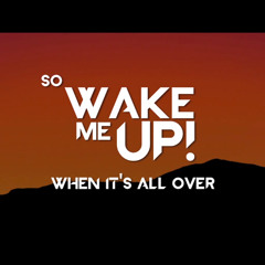 Avicii Wake Me Up (DJBROZO Edit)